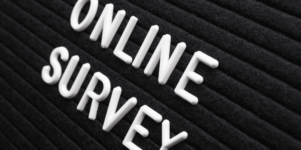 Online Survey